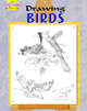 Drawing Birds