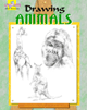 Drawing Animals